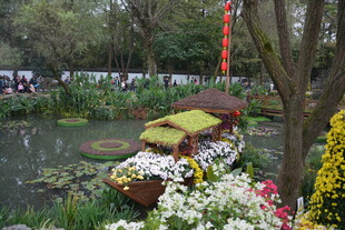 湖畔花卉景观 春意盎然