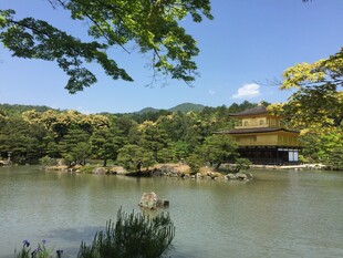 日本湖畔金阁 自然美景如画