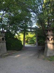 日本园林石景与林荫小道