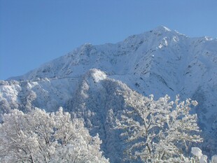 雪覆山峦与树木美景