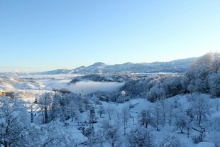 冬日雪覆山林美景