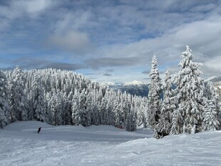 雪覆山林的冬日滑雪美景