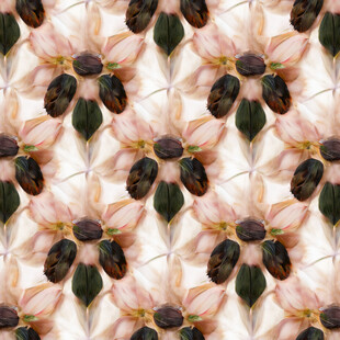 粉色花朵图案纹理背景