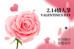 情人节粉色浪漫玫瑰花