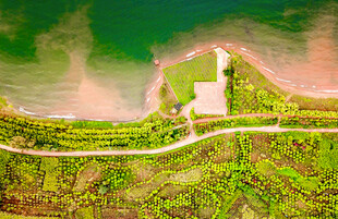 俯瞰湖畔绿地中的建筑