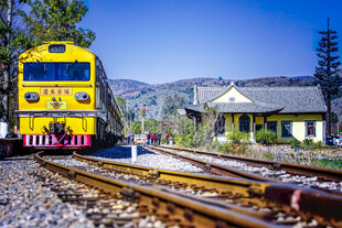 黄色火车行驶在铁轨旁