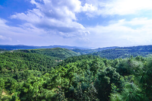 青山绿树间的开阔美景