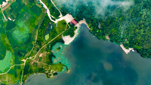 俯瞰翠绿海岸与水域景观