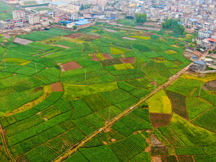 俯瞰翠绿田野风光
