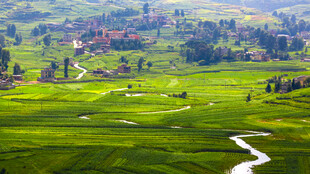 山间绿野蜿蜒小路美景