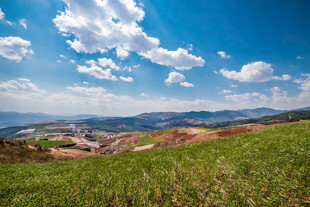 蓝天白云下的翠绿田野