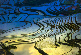 梦幻梯田景观