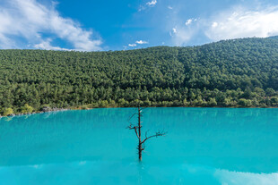 梦幻蓝湖与孤树
