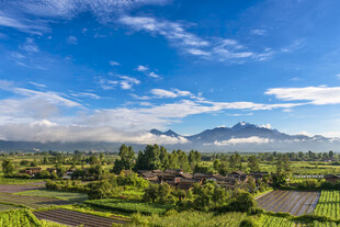 田园风光中的远山美景
