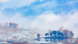 冬日雪景中的静谧村落