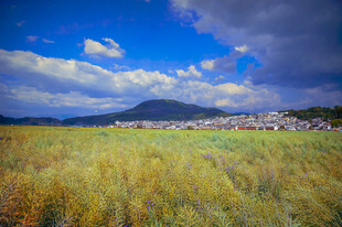 草原风光与远山村落
