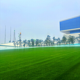 城市中的大片绿茵与建筑