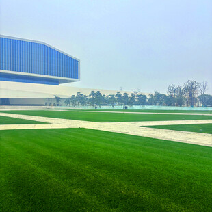 现代建筑旁的翠绿草坪