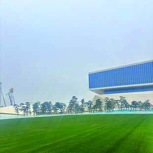 蓝楼前的翠绿开阔草坪