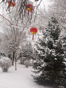 雪中日景挂红灯笼