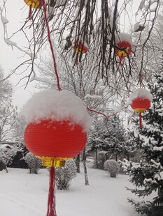 雪覆红灯笼 冬日美景