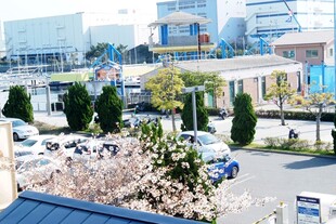 日本城市街道旁的绿植与车辆