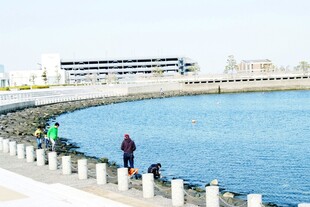 日本海边护栏旁的垂钓者