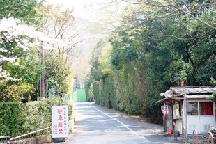 日本日式林荫小道入口景象