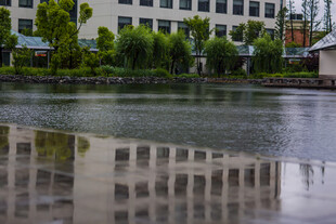 校园雨后城市水景倒映建筑