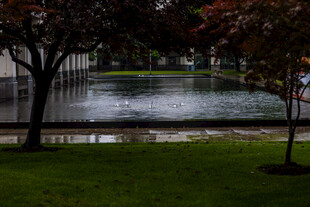 校园雨后公园景色