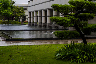 校园庭院景观中的绿植与建筑