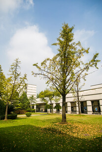 校园户外绿树环绕的建筑景观