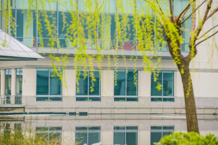 校园湖畔垂柳旁的现代建筑