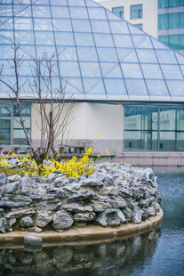 校园湖畔石景与玻璃建筑景观