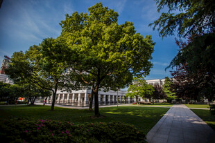 校园校园绿树成荫的宁静小路