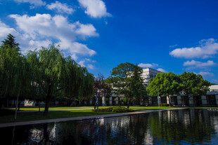 校园湖畔美景 蓝天白云绿树映湖