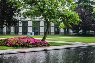 校园花园中的欧式建筑与花卉