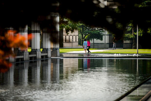 校园雨后校园积水处的静谧景象