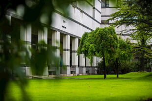 校园校园绿意景观