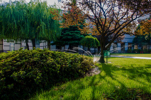 校园秋日公园绿意盎然景致