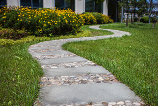 校园庭院蜿蜒石板小径美景