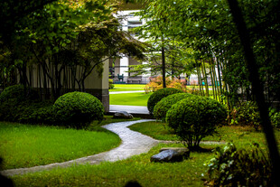 校园静谧园林小径景观