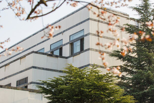 校园现代建筑旁的葱郁绿植