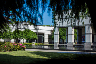 校园现代建筑旁的葱郁景致