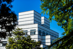 校园现代建筑与绿树相映成趣