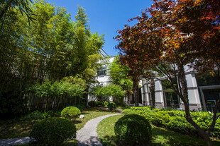 校园庭院绿植景观 清幽小径