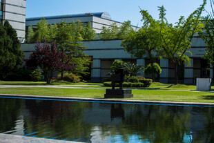 校园现代建筑旁的静谧水景