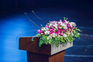 校园讲台上的缤纷花卉装饰