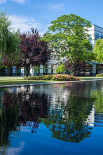 校园湖畔绿树成荫的美丽景致