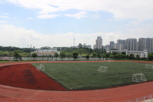 广医校园足球场与远处城市景观